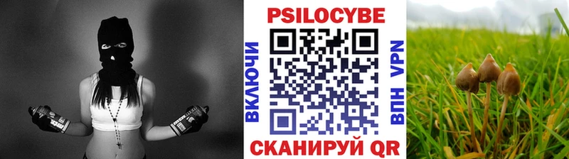 Псилоцибиновые грибы MAGIC MUSHROOMS  Купить  Мценск 