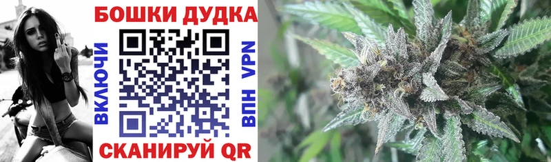 Купить где  Мценск  Бошки Шишки SATIVA & INDICA 